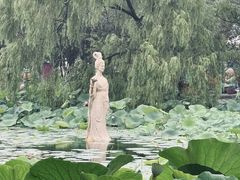 -北陵公园
