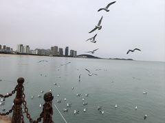 -威海国际海水浴场旅游区