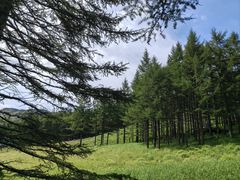 -驼梁风景区