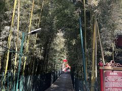 -红螺寺