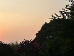 -张翻越·川渝冒菜·武汉黑鸭煲(城北万象城店)