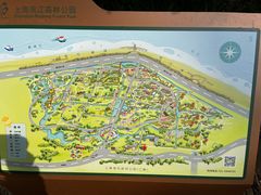 -上海滨江森林公园