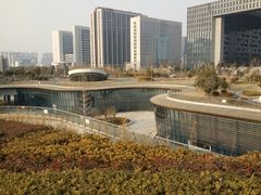 -聚龙湖公园