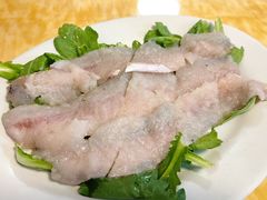-金砂阿洲鱼册店