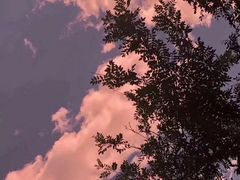 -蟹田居·活蟹料理(东城店)