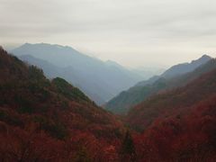 -牛背梁国家森林公园