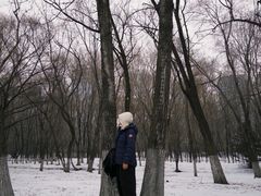 -长白岛森林公园