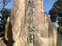 -昆山城市生态森林公园