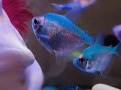 -七宝蔬菜农副产品综合交易市场-停车场