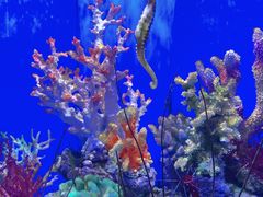 -多彩贵州城极地海洋世界