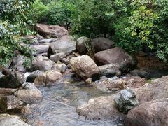 -银瓶嘴森林公园
