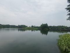 -桐乡凤凰湖