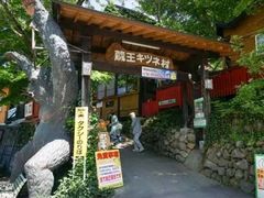 -宫城藏王狐狸村