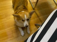 -牛杂大叔(园岭总店)