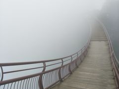 -少华山国家森林公园