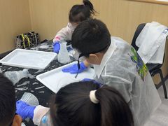 -神奇科学家STEAM科学实验科创赛事机器人编程逻辑思维MadScience(长宁来福士校区)