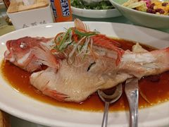 东星斑-北京全聚德(西客站店)