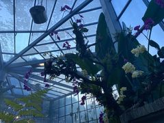 -东莞植物园