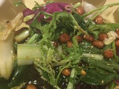 -南来顺饭庄·清真(南菜园店)