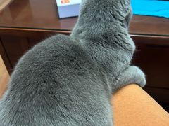 -纳吉亚猫专科动物医院博雅分院