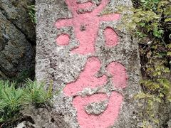 -王顺山国家森林公园