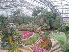 -南山植物园