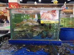 水产区-东江海鲜酒家(艺都分店)