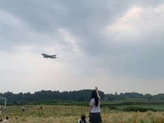 -空港花田景区