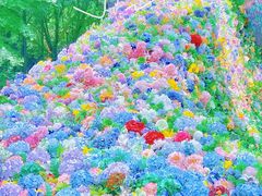 -上海共青森林公园