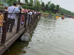 -枫香湖儿童公园