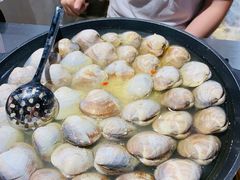 大白贝-水哥卜卜贝(东晓·胜汇里店)