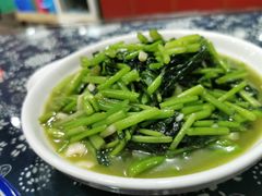 野生芝麻菜-国生茶庄·地道农家菜团建活动