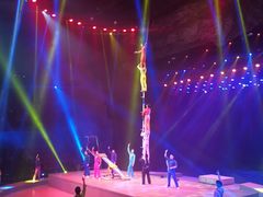 -重庆国际马戏城