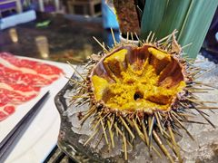 活海胆-炙柒Sekinana·精致料理 烧鸟·铁板烧(海上世界店)