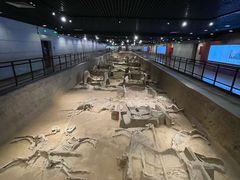 -洛阳周王城天子驾六博物馆