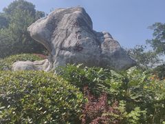 -桃花岛景观公园