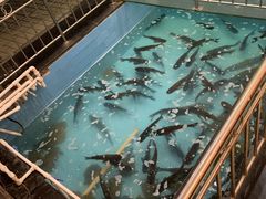 -巴陵全鱼席(湖南老字号汴河街店 )