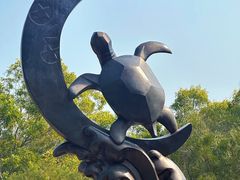 -广东惠东海龟国家级自然保护区