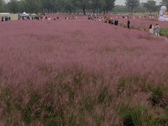 -汉长安城未央宫国家考古遗址公园