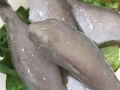 -锅首鲜品火锅(鸳鸯店)