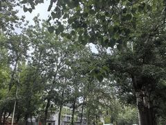 -雕刻时光咖啡馆(北师大店)