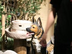 景观位-老湘村·湖南土菜(天河维多利店)