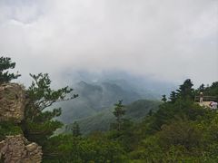 -牛背梁国家森林公园