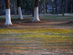 -钟山体育运动公园