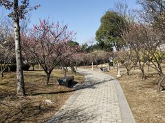 -石湖景区