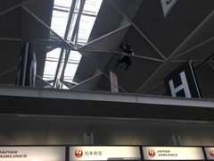 -中部国际机场