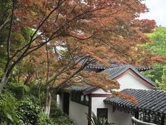 -幕燕滨江·燕子矶公园
