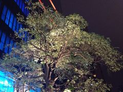 -广州天河希尔顿酒店