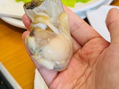 瓷蛤-良兴火锅
