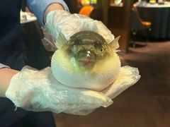 -肆月河豚·淮扬菜·湘菜(华天店)